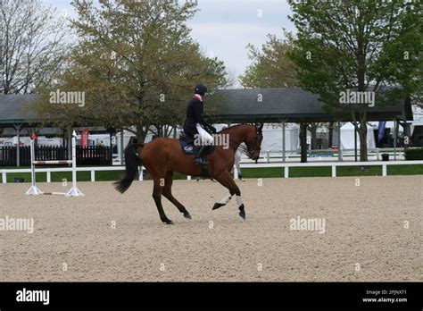 rolex horse show 2021|Rolex kentucky dressage.